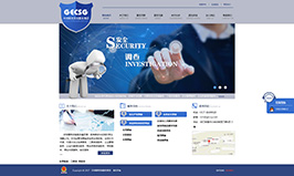 环球精英咨询服务集团