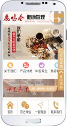 鹿鸣春健康管理有限公司